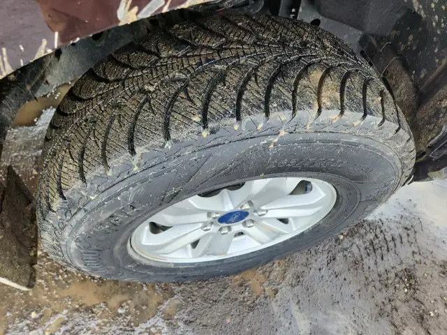 2019 Ford F-150 - Photo 12