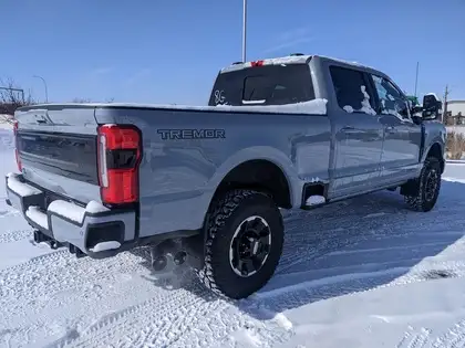 2026 Ford F-350 Platinum 4WD Crew Cab 6.75' Box - Photo 5