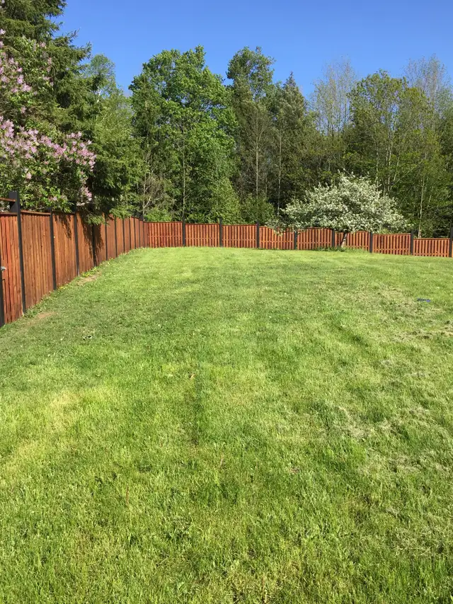 Fence Posts - Photo 4