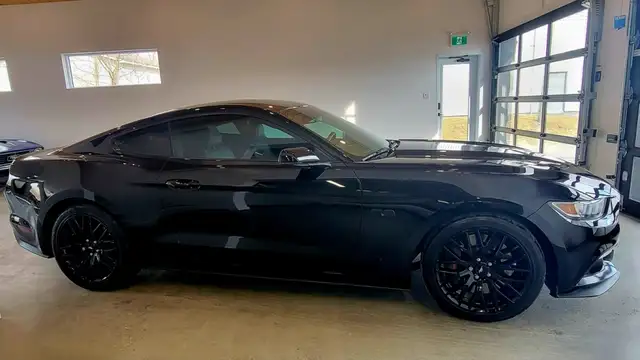 2015 Ford Mustang SUPERCHARGED ROUSH - Photo 3