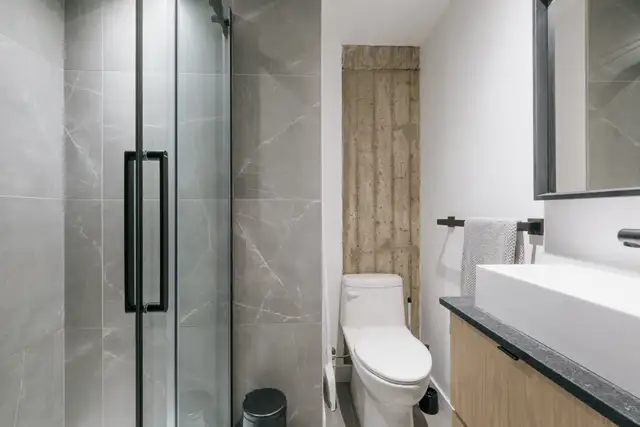 Loft entièrement meublé à louer Saint-Jean-Baptiste août 2026 - Photo 3