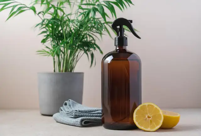 Need your home CLEANED TODAY? - Photo 3