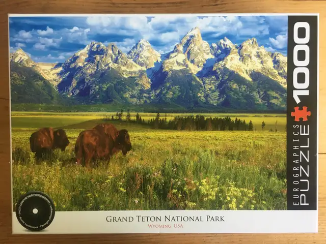 Casse-têtes (10 CT), 1000 pièces (IX) - Photo 4