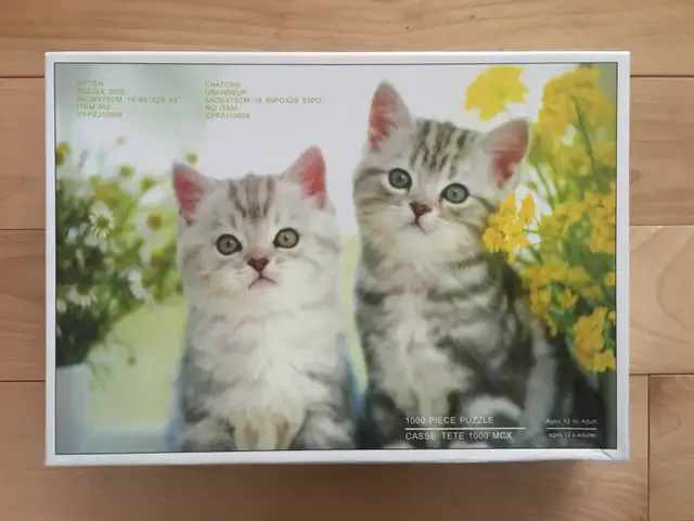 Casse-têtes / Puzzles (10 CT), 1000 pièces (no10) - Photo 6