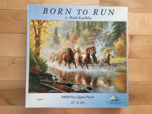 Casse-têtes / Puzzles (10 CT), 1000 pièces (no10) - Photo 9