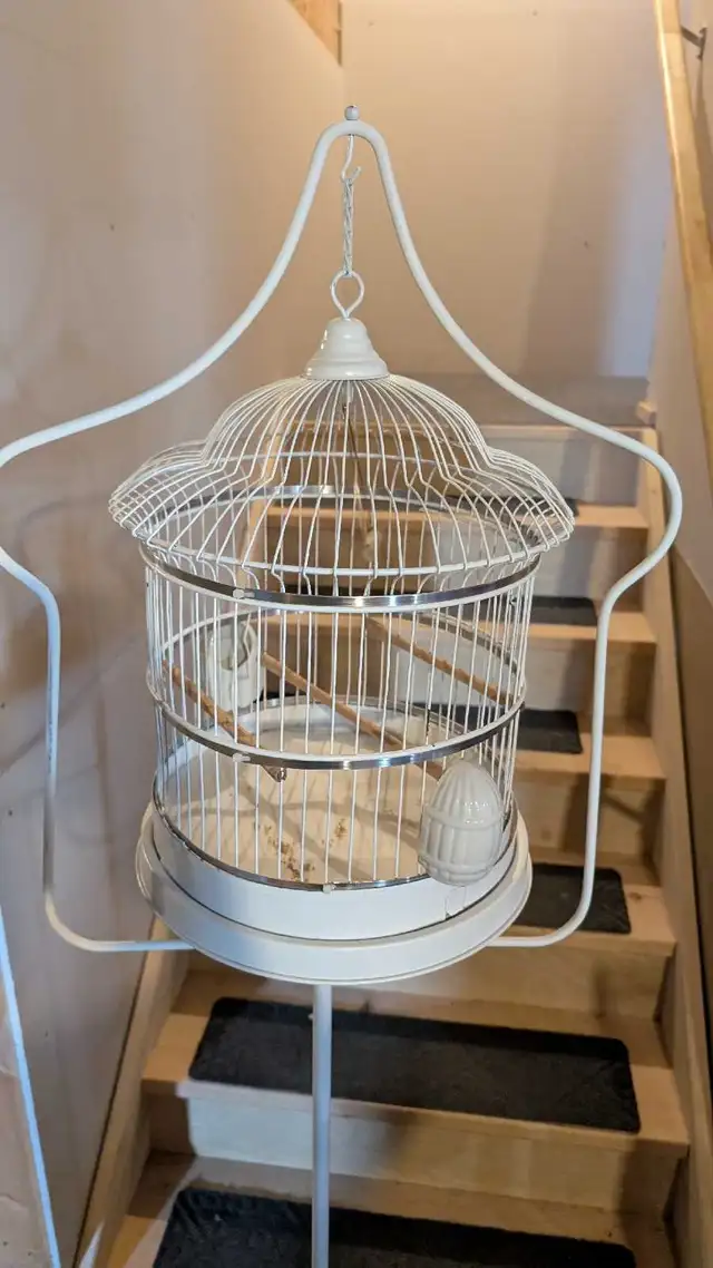 Antique Bird Cage for Sale! OBO - Photo 2