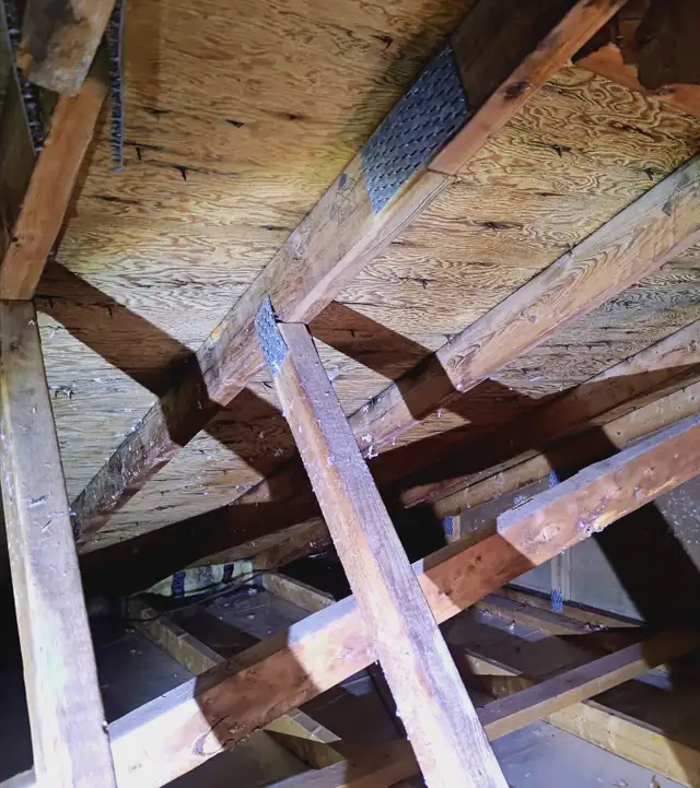 Moulds remediation - Photo 2