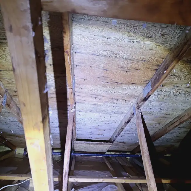 Moulds remediation - Photo 3