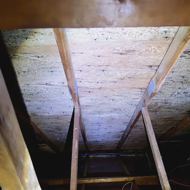 Moulds remediation - Photo 4