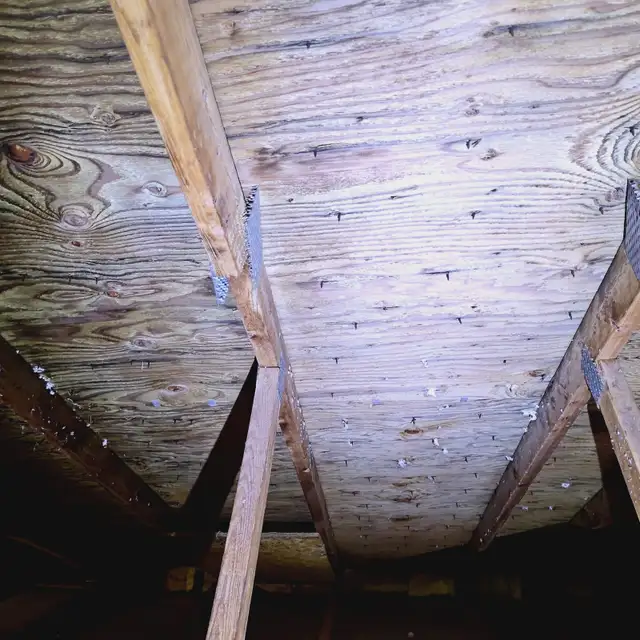 Moulds remediation - Photo 5