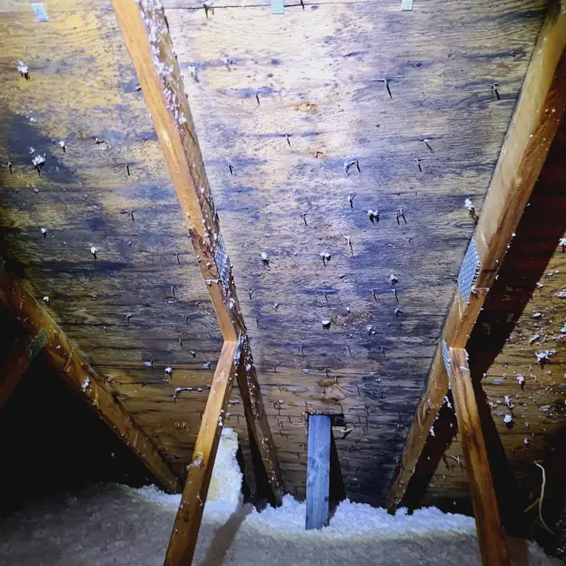 Moulds remediation - Photo 7