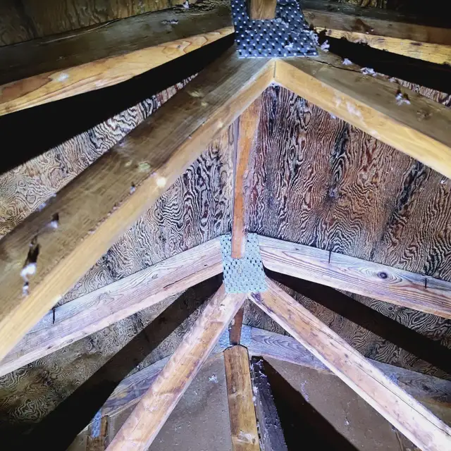 Moulds remediation - Photo 8