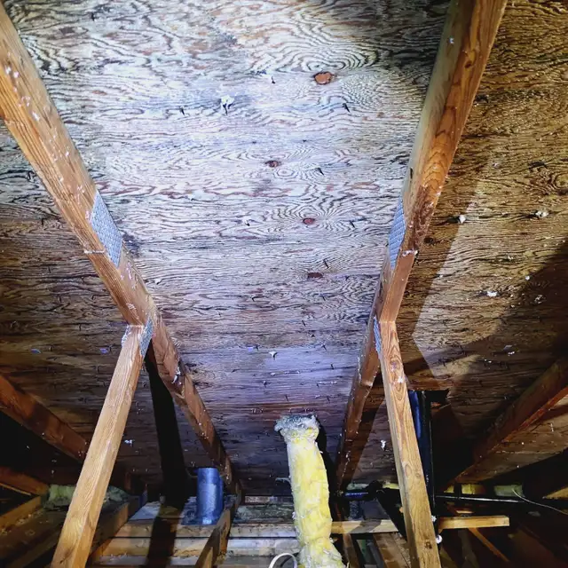 Moulds remediation - Photo 9