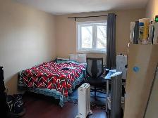 May - 2 Rooms- Bank/Hunt Club- 15m/Carleton,20m/OttawaU, VIDEO's