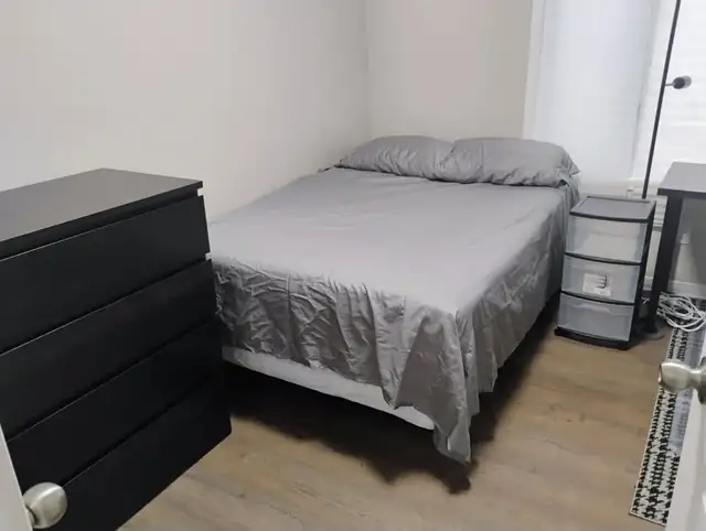 May - 2 Rooms- Bank/Hunt Club- 15m/Carleton,20m/OttawaU, VIDEO's - Photo 7