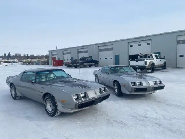 1979 Pontiac Trans Am 10th Anniversary - Photo 2