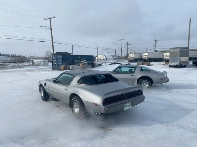 1979 Pontiac Trans Am 10th Anniversary - Photo 5