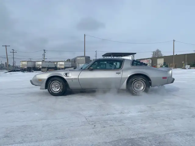 1979 Pontiac Trans Am 10th Anniversary - Photo 6