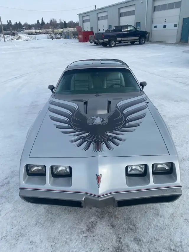 1979 Pontiac Trans Am 10th Anniversary - Photo 7