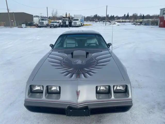 1979 Pontiac Trans Am 10th Anniversary - Photo 8