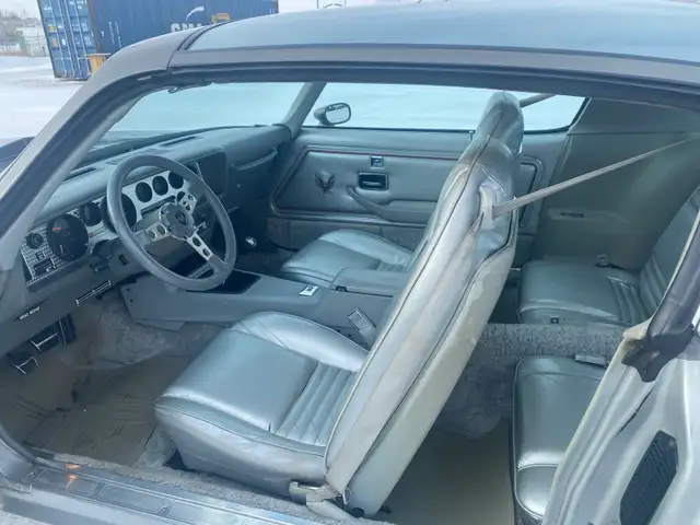 1979 Pontiac Trans Am 10th Anniversary - Photo 9