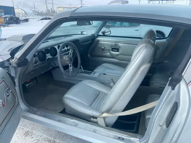 1979 Pontiac Trans Am 10th Anniversary - Photo 10