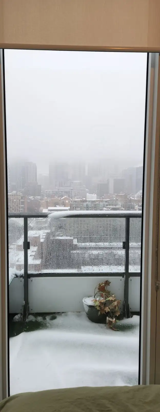 Penthouse Room for Rent- Downtown Toronto- $1300/month - Photo 9