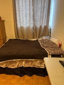 room for rent in Etobicoke