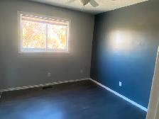 3 bedrooms house for rent