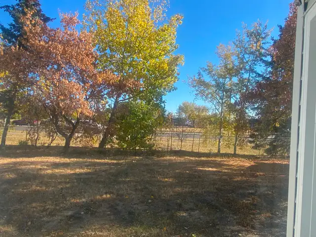 3 bedrooms house for rent - Photo 6