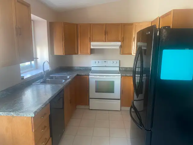 3 bedrooms house for rent - Photo 8