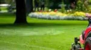 SPRING CLEAN UP-LAWN MAINTENANCE-GTA