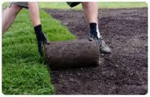 SPRING CLEAN UP-LAWN MAINTENANCE-GTA - Photo 2