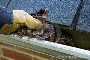 SPRING CLEAN UP-LAWN MAINTENANCE-GTA - Photo 3