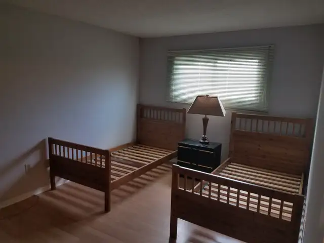 Rooms for rent near Humber College North Campus - NOW AVAILABLE! - Photo 9