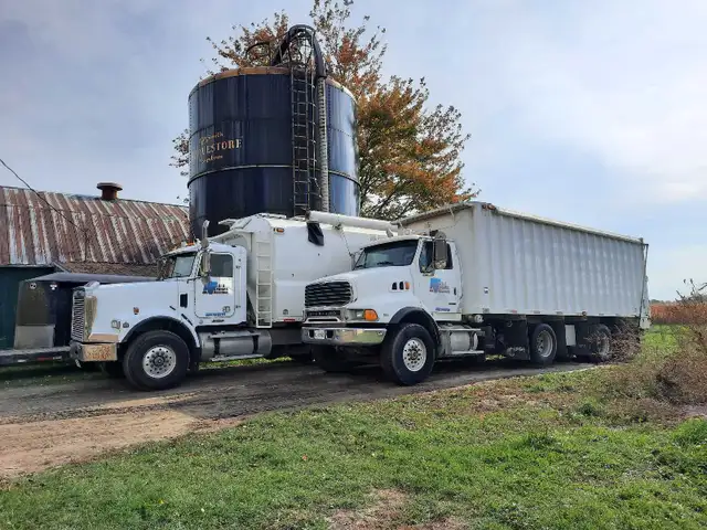 Hiring DZ/AZ feed truck operators - Photo 2