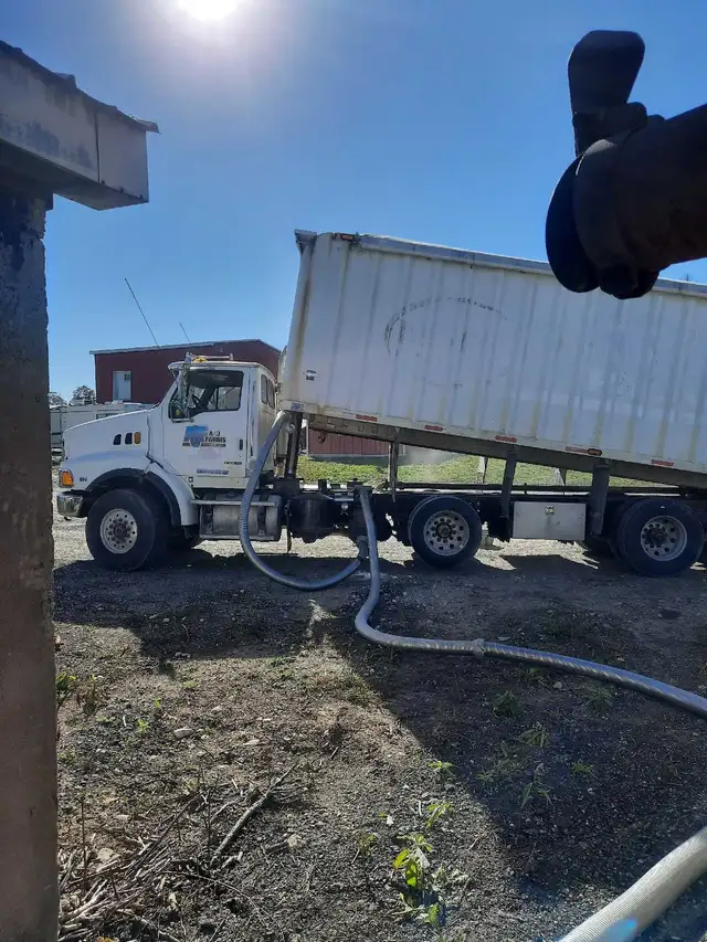 Hiring DZ/AZ feed truck operators - Photo 3