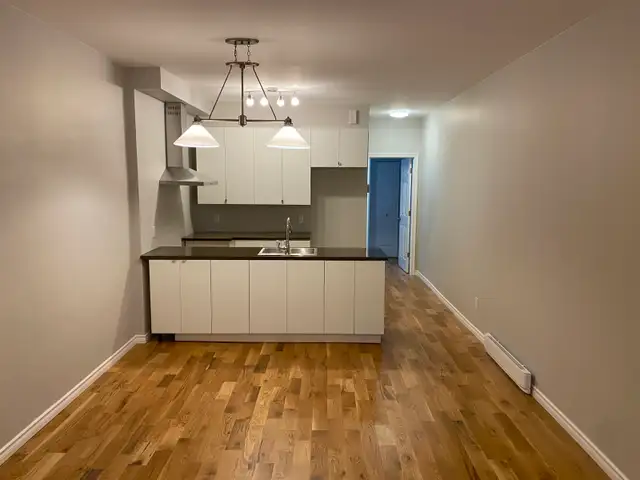 3 1/2 rénové proche du metro Joliette