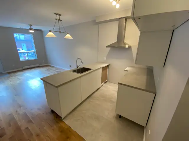 3 1/2 rénové proche du metro Joliette - Photo 2