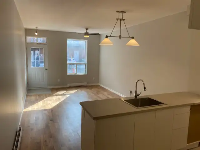 3 1/2 rénové proche du metro Joliette - Photo 4