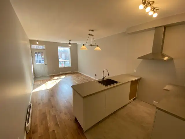 3 1/2 rénové proche du metro Joliette - Photo 5