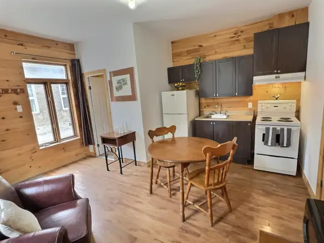 APPARTEMENT TOUT INCLUS-MEUBLÉ, 1 CHAMBRE 3 1/2 A SAINT-ROCH - Photo 3