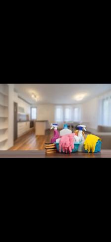 Experienced housekeeper/ cleaner available.Toronto Area