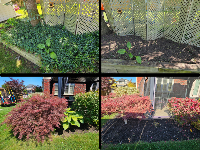 Hamilton Area Spring Cleanup - Gardening - Mulching & More! - Photo 2