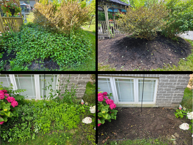 Hamilton Area Spring Cleanup - Gardening - Mulching & More! - Photo 4