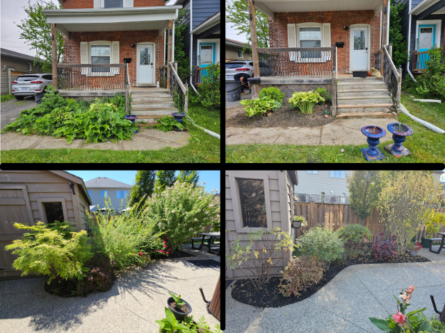 Hamilton Area Spring Cleanup - Gardening - Mulching & More! - Photo 8