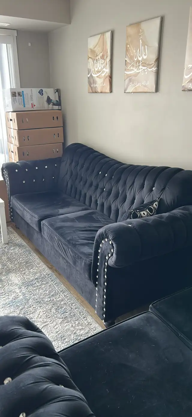 Black velvet tufted couches for sale - Photo 2