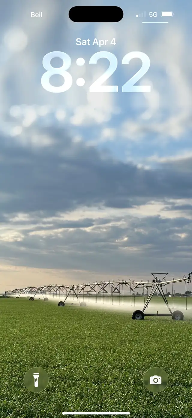 AAC Morgan oat seed - Photo 2