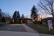 Need helper in construction for today