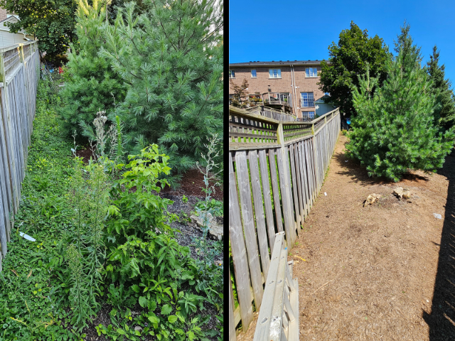 Reliable & Affordable Spring Cleanup Landscaping & Gardening - Photo 7